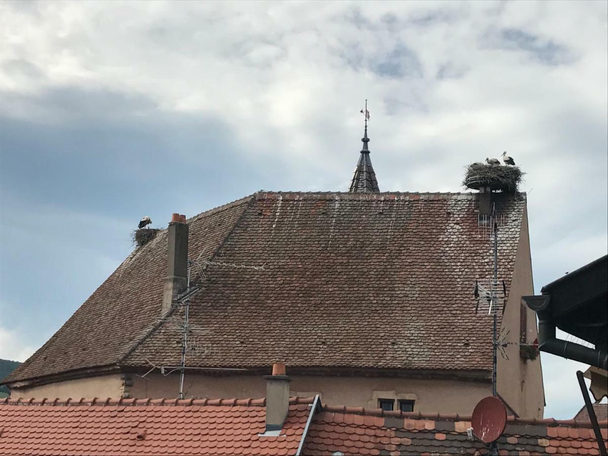 Gite "Smart'In" - Parking Offert Eguisheim Exteriör bild